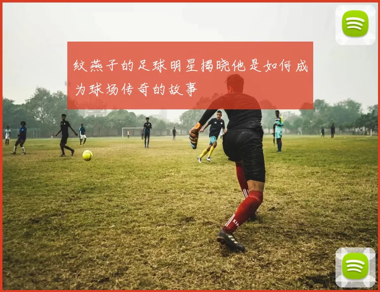纹燕子的足球明星揭晓他是如何成为球场传奇的故事
