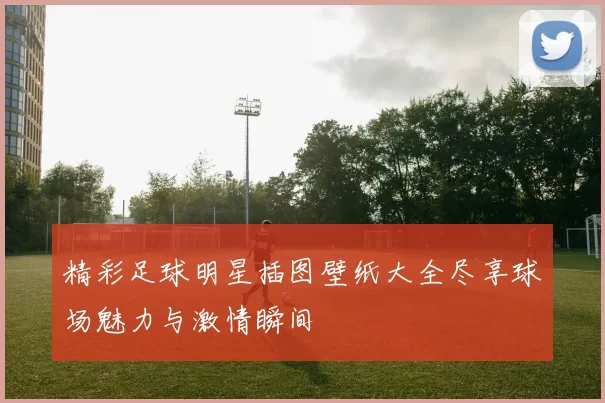 精彩足球明星插图壁纸大全尽享球场魅力与激情瞬间
