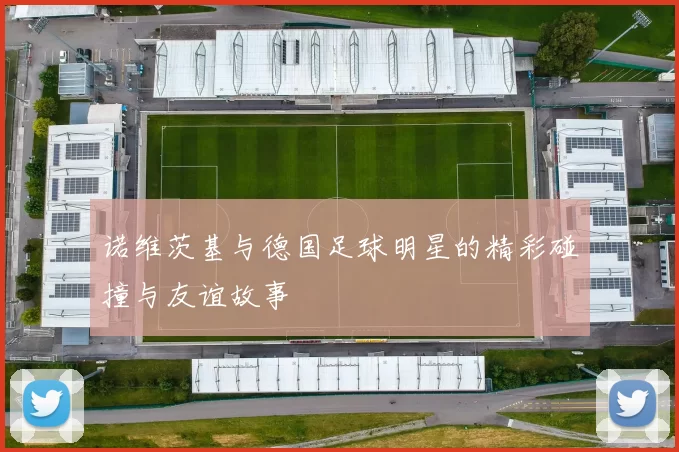 诺维茨基与德国足球明星的精彩碰撞与友谊故事