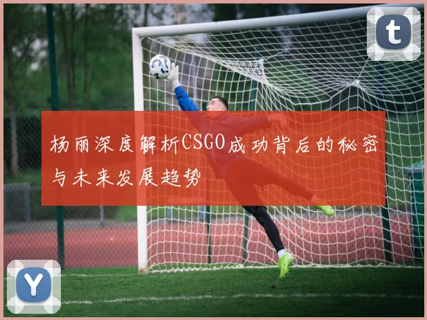 杨丽深度解析CSGO成功背后的秘密与未来发展趋势