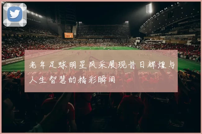 老年足球明星风采展现昔日辉煌与人生智慧的精彩瞬间