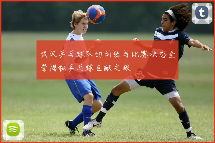 武汉乒乓球队的训练与比赛状态全景揭秘乒乓球巨献之旅