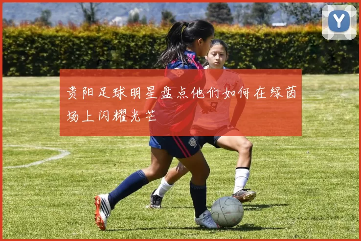 贵阳足球明星盘点他们如何在绿茵场上闪耀光芒