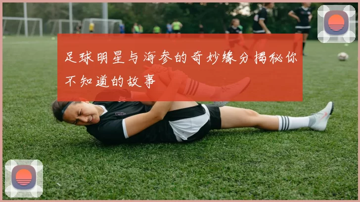 足球明星与海参的奇妙缘分揭秘你不知道的故事