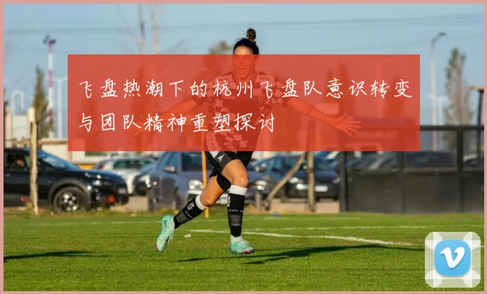 飞盘热潮下的杭州飞盘队意识转变与团队精神重塑探讨