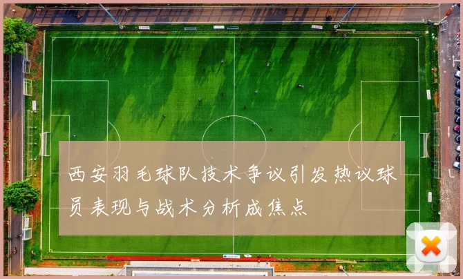 西安羽毛球队技术争议引发热议球员表现与战术分析成焦点