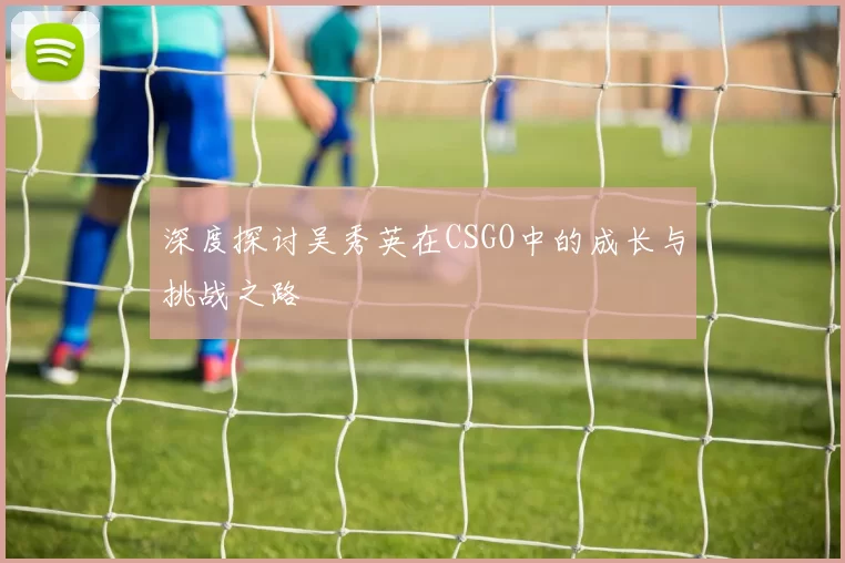 深度探讨吴秀英在CSGO中的成长与挑战之路