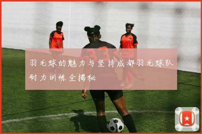 羽毛球的魅力与坚持成都羽毛球队耐力训练全揭秘