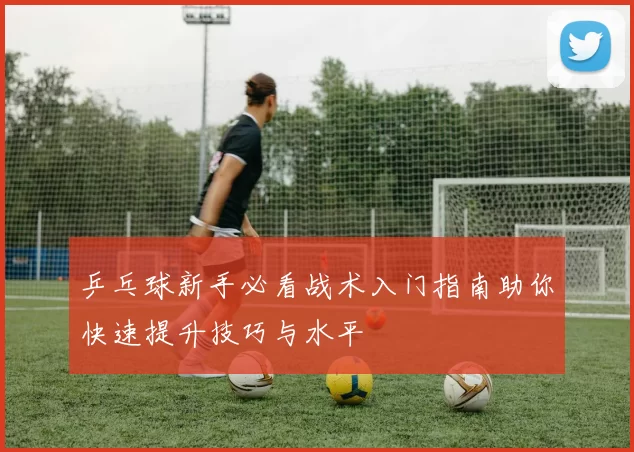 乒乓球新手必看战术入门指南助你快速提升技巧与水平