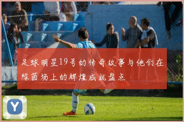 足球明星19号的传奇故事与他们在绿茵场上的辉煌成就盘点