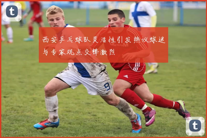 西安乒乓球队灵活性引发热议球迷与专家观点交锋激烈