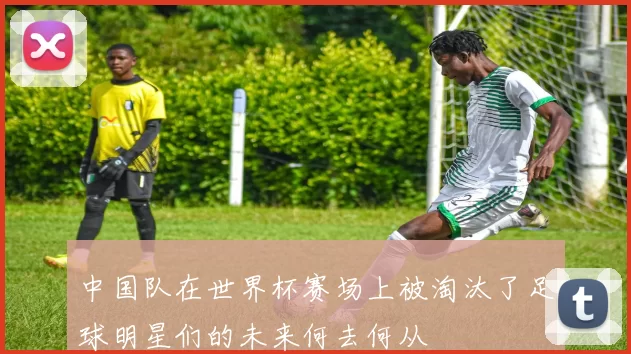 中国队在世界杯赛场上被淘汰了足球明星们的未来何去何从