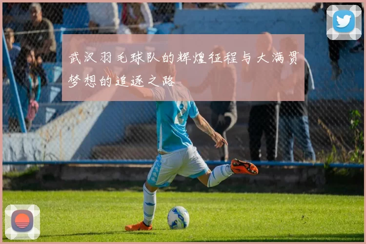 武汉羽毛球队的辉煌征程与大满贯梦想的追逐之路