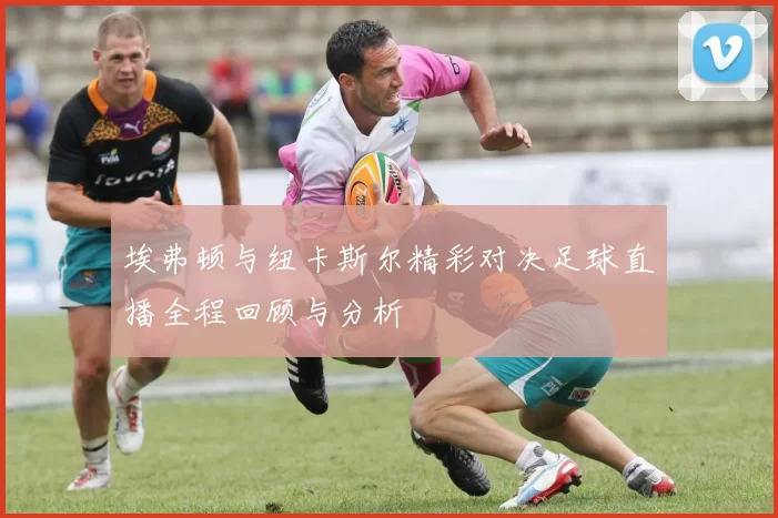 埃弗顿与纽卡斯尔精彩对决足球直播全程回顾与分析