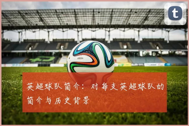 英超球队简介：对每支英超球队的简介与历史背景