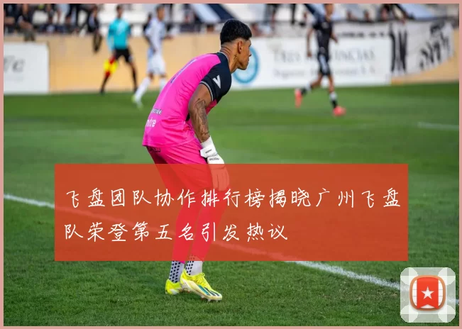 飞盘团队协作排行榜揭晓广州飞盘队荣登第五名引发热议