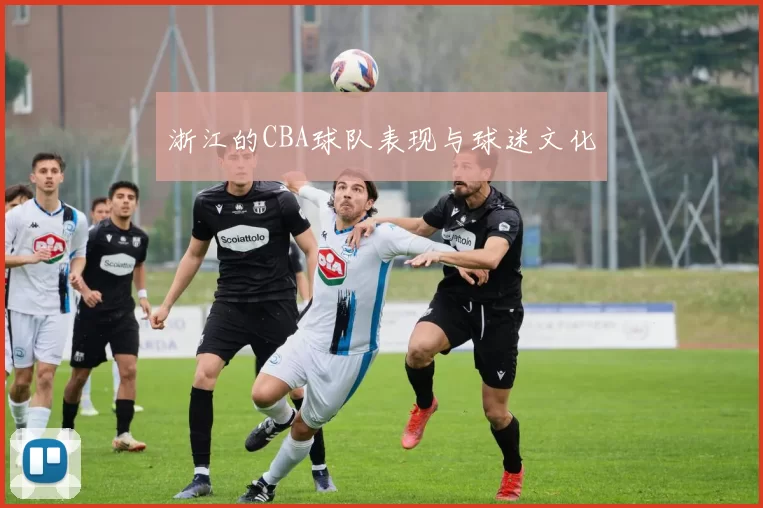 浙江的CBA球队表现与球迷文化
