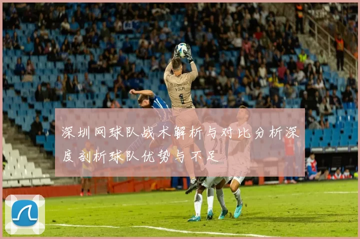 深圳网球队战术解析与对比分析深度剖析球队优势与不足