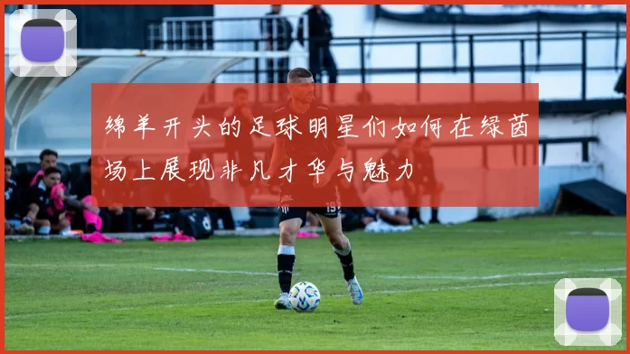 绵羊开头的足球明星们如何在绿茵场上展现非凡才华与魅力