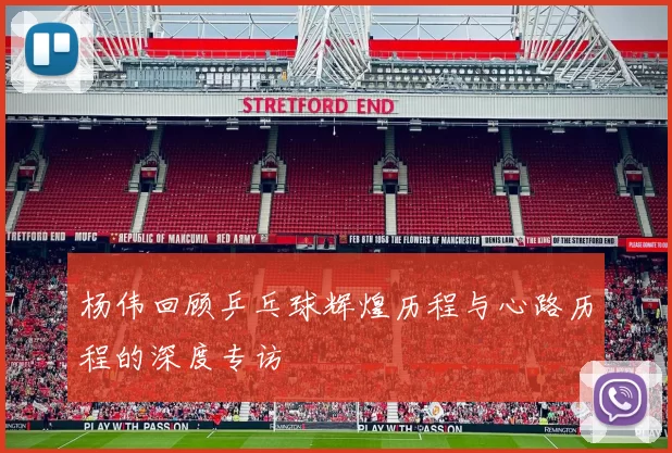 杨伟回顾乒乓球辉煌历程与心路历程的深度专访