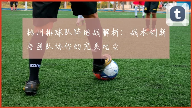 杭州排球队阵地战解析：战术创新与团队协作的完美结合